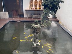 -觀芷隐轩