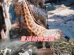 -长鹿旅游休博园