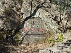 -王顺山国家森林公园