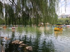 -莲湖公园