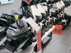 -九号电动车(安定门内大街店)