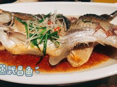 -大中华酒楼·主席武昌鱼·武汉美食地标(江汉路步行街店)