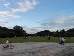 -大屏嶂森林公园