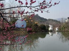 -雅达·阳羡溪山小镇中心
