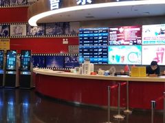 -上海金逸影城(静安大悦城店（原新恒星影城）)