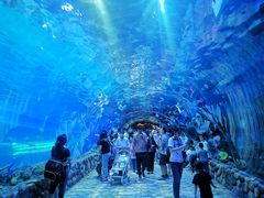 -华夏文旅海洋公园