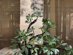 -淮扬府(安定门店)