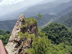 -王顺山国家森林公园