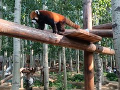 -北京野生动物园