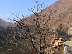 -石砭峪水库