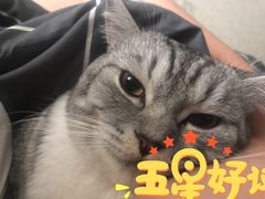 -瑞鹏宠物医院·骨科·猫科·内科(第一中心)