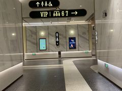 -英皇电影城(平安金融中心IMAX激光店)