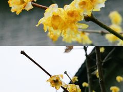 -茶陵县工农兵政府旧址