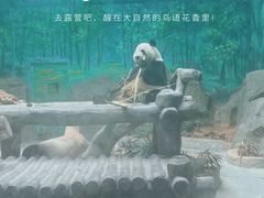-灵玲国际马戏城