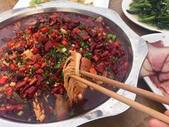 -灯盏窝饭店(新都分店)