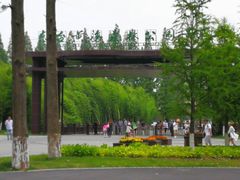 -黄海国家森林公园