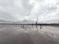 -奉贤海滩