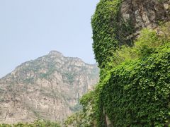 -红井路游艺炖锅·音乐餐吧(十渡店)