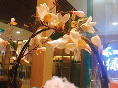 -青瓷火锅料理(西单大悦城店)
