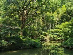 -杭州植物园