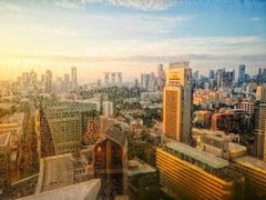 -新加坡文华东方酒店