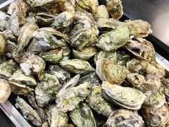 -好伦哥(温都水城店)