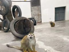 -西安秦岭野生动物园
