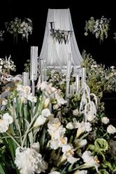 -明典婚礼策划·婚车租赁·婚纱摄影