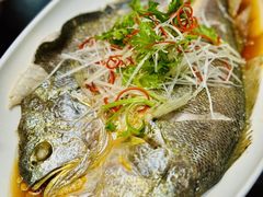 -山海菜馆·海肠捞饭·青岛菜(栈桥店)