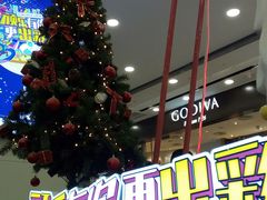 -凯德MALL(望京店)