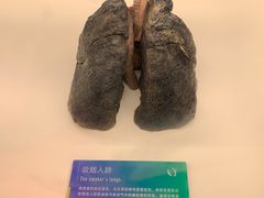 -生命奥秘博物馆