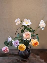 -美肤盾祛痘·问题肌头疗管理中心