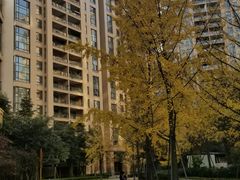 -仁恒滨河湾
