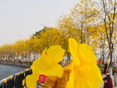 -洲头咀公园