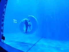 -多彩贵州城极地海洋世界