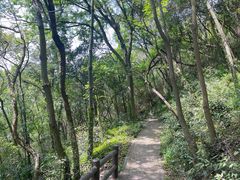 -上海佘山国家森林公园天马山园