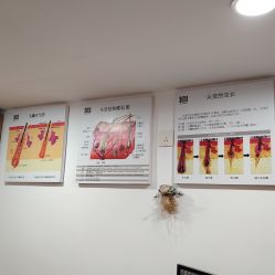 -章光101防脱养发荟
