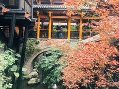 -鱼桥巷·美学川菜