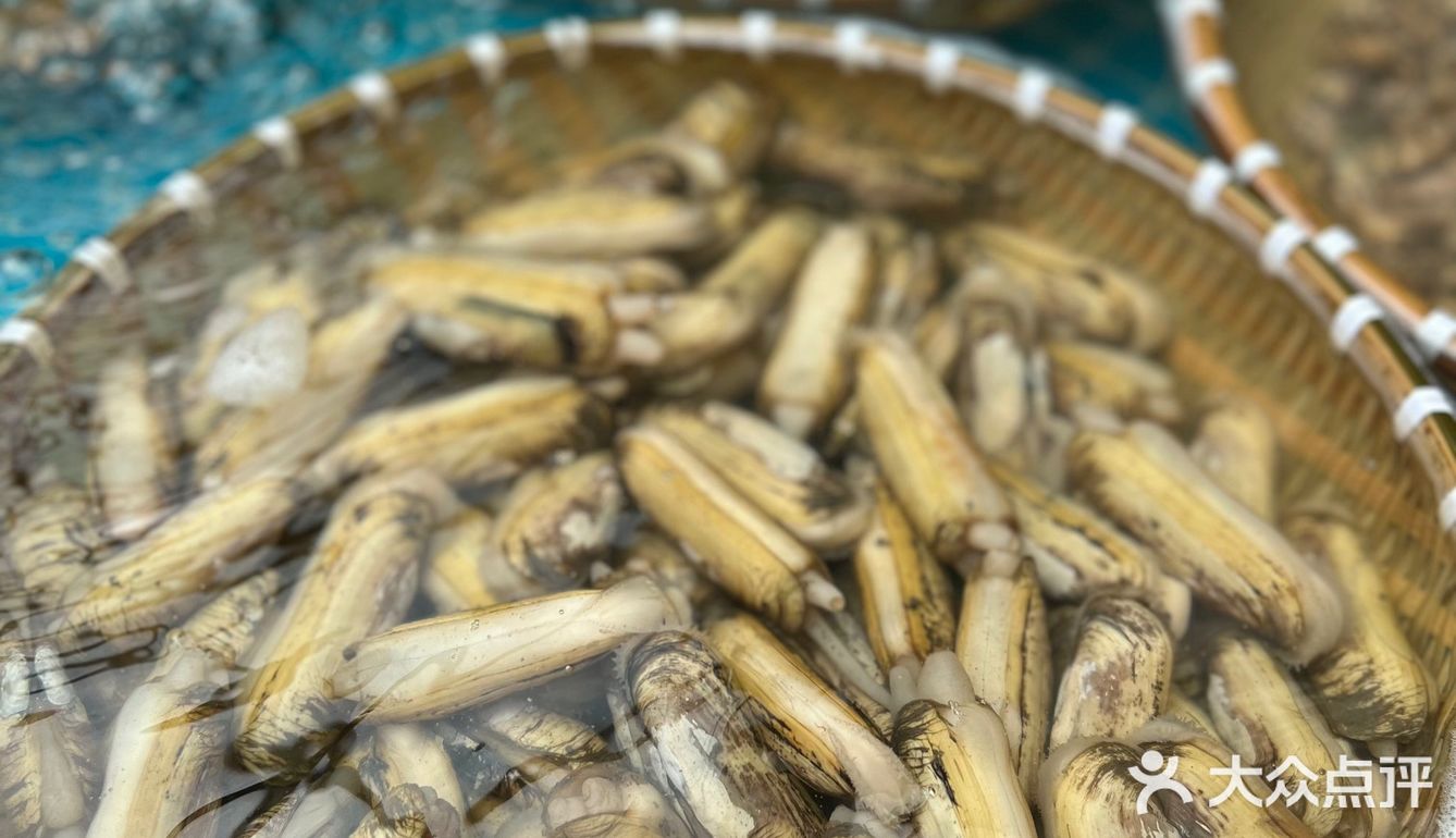  鲜活的海鲜现捞,现捞现焗！超满足！就在旧村‼️