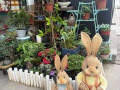 -FEI FEI FLOWER鲜花店·气球派对·宝宝宴布置(虹口德必运动Loft店)