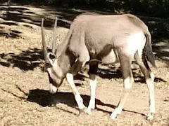 -北京动物园-畅观楼