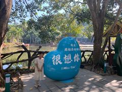 -西双版纳原始森林公园