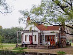 -上海共青森林公园