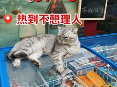 -西关84·History·Art·Cafe