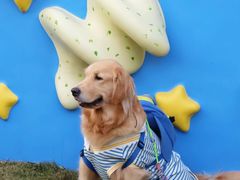 -上海神旺大酒店