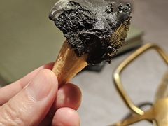 -罗勒家·养生火锅· Bistro(大望路店)