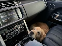 -心仪动物医院·牙专科·肿瘤·心脏科(西客站院)