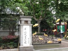 -华山儿童公园
