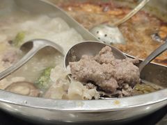 -小叫驴养生驴肉火锅(龙游店)