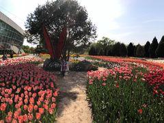 -石家庄市植物园